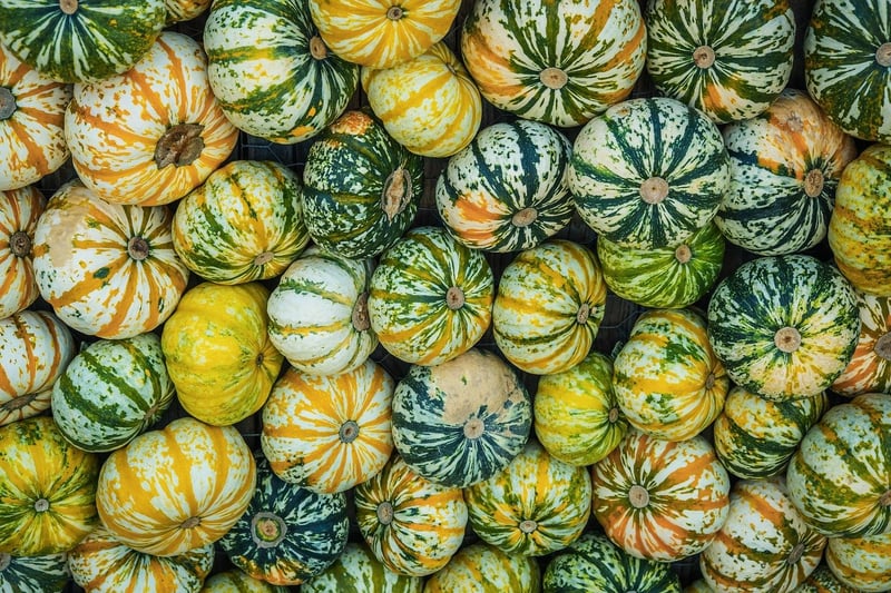 Vegetable Varieties